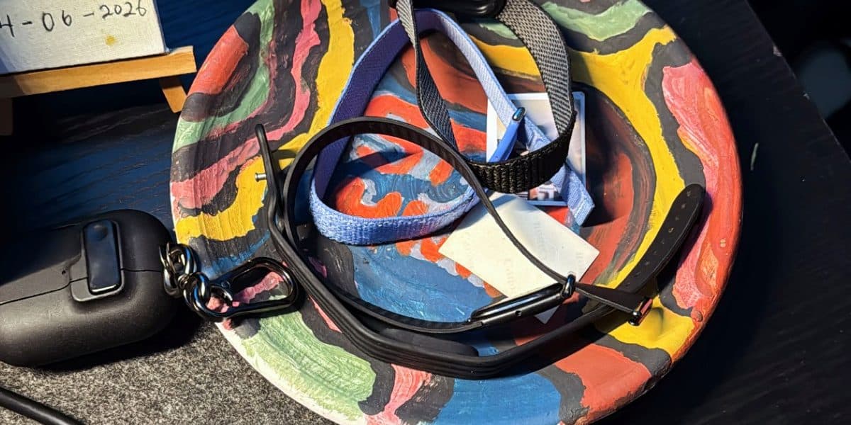 A hand-painted tray holding earphones and glasses.